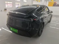 Tesla Model Y 2025 (37300 км)