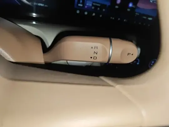  Bingo