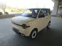 Geely Galaxy Panda 2025 (3700 км)