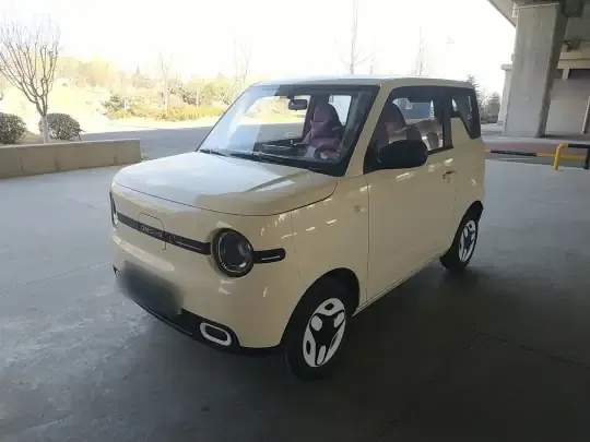 Geely Galaxy Panda 2025 (3700 км)
