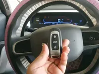 Geely Galaxy Panda 2025 (3700 км)