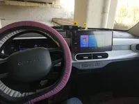 Geely Galaxy Panda 2025 (3700 км)