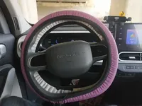 Geely Galaxy Panda 2025 (3700 км)