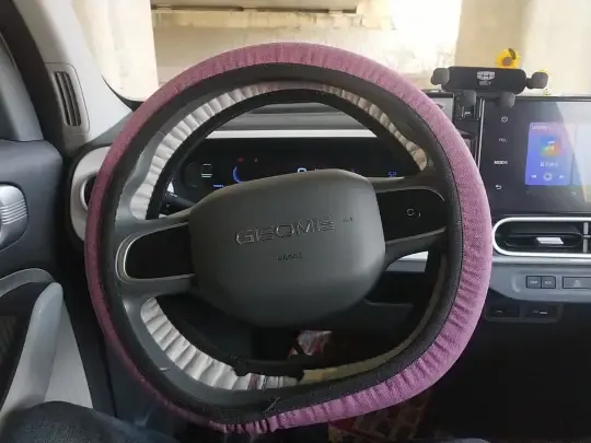Geely Galaxy Panda 2025 (3700 км)