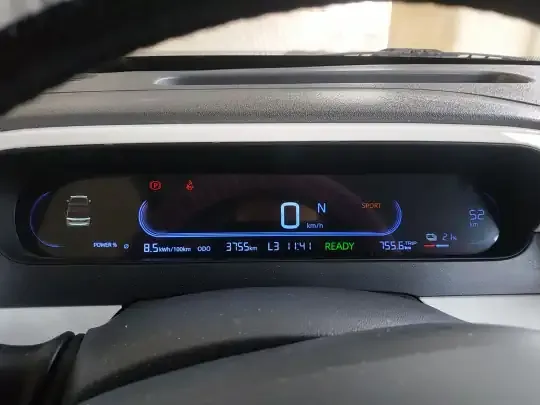 Geely Galaxy Panda 2025 (3700 км)