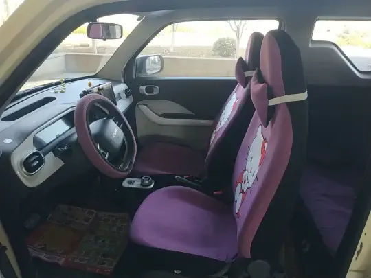 Geely Galaxy Panda 2025 (3700 км)