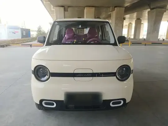 Geely Galaxy Panda 2025 (3700 км)