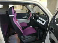 Geely Galaxy Panda 2025 (3700 км)