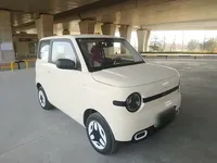 Geely Galaxy Panda 2025 (3700 км)