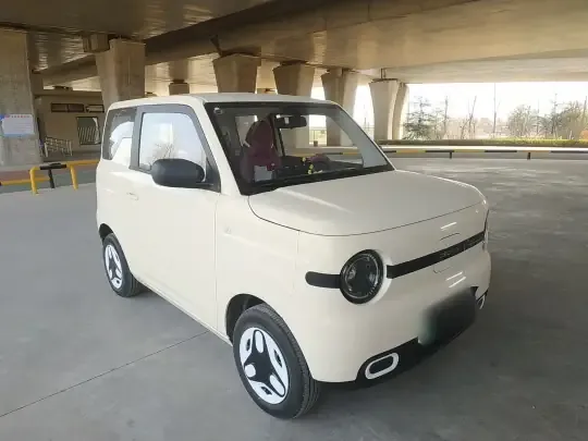 Geely Galaxy Panda 2025 (3700 км)