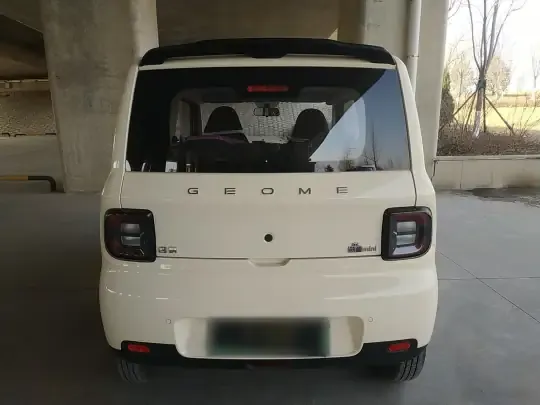 Geely Galaxy Panda 2025 (3700 км)