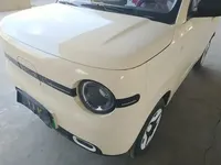 Geely Galaxy Panda 2025 (3700 км)