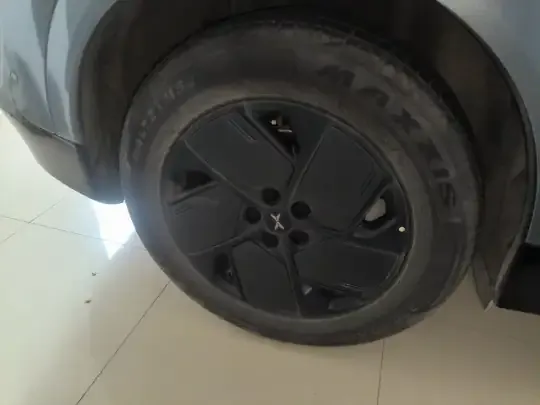 XPeng G6 2025 (12100 км)