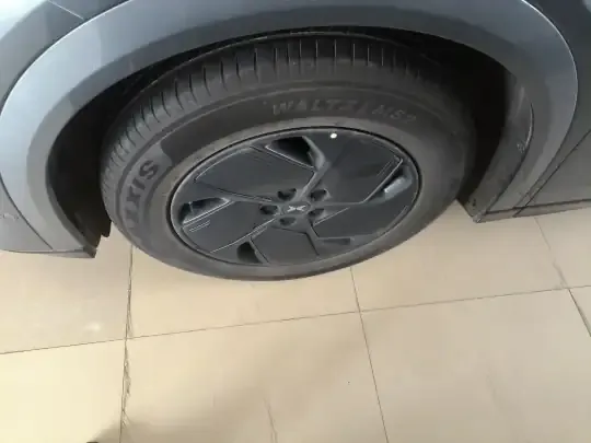 XPeng G6 2025 (12100 км)