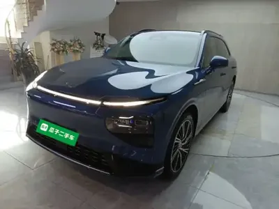XPeng G9 2025 (6600 км)