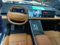 XPeng G9 2025 (6600 км)
