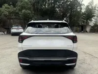 Kia Sportage (Chinese Domestic Model) 2025 (100 км)