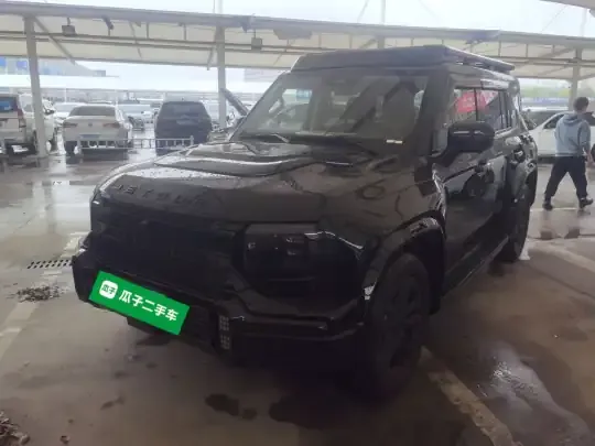 JETOUR Traveler 2025 (9100 км)