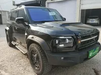 JETOUR Traveler 2025 (11299 км)