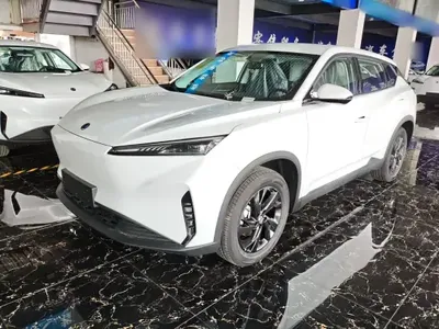 Dongfeng Aeolus SKY EV01 2025 (100 км)