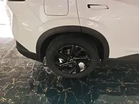 Dongfeng Aeolus SKY EV01 2025 (100 км)