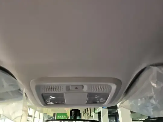 Dongfeng Aeolus SKY EV01 2025 (100 км)