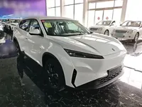 Dongfeng Aeolus SKY EV01 2025 (100 км)