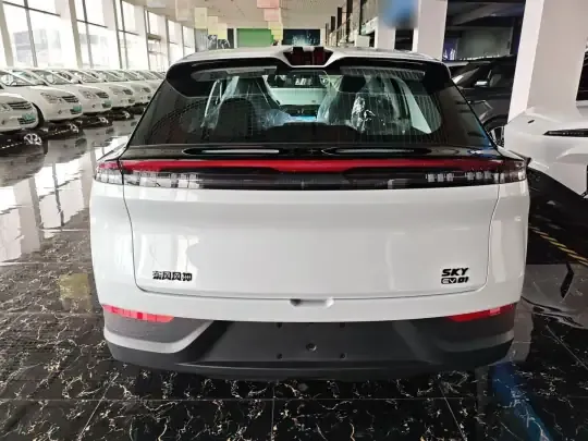 Dongfeng Aeolus SKY EV01 2025 (100 км)