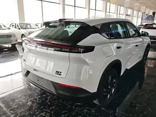 Dongfeng Aeolus SKY EV01 2025 (100 км)