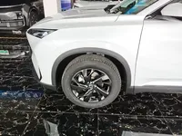 Dongfeng Aeolus SKY EV01 2025 (100 км)