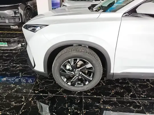 Dongfeng Aeolus SKY EV01 2025 (100 км)