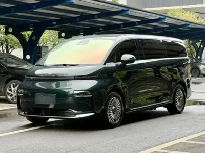 Geely Galaxy LEVC L380 2025 (25400 км)