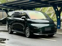 Geely Galaxy LEVC L380 2025 (25400 км)