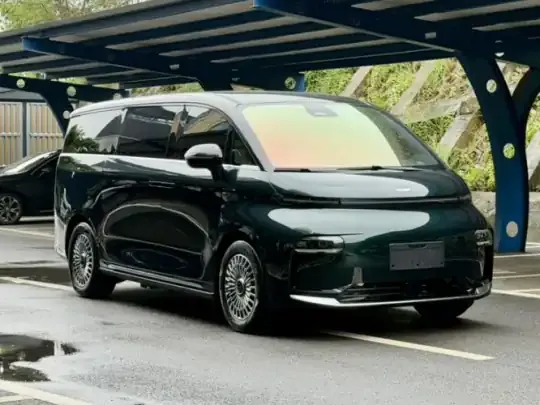 Geely Galaxy LEVC L380 2025 (25400 км)