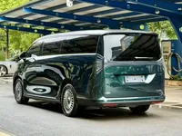 Geely Galaxy LEVC L380 2025 (25400 км)