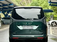 Geely Galaxy LEVC L380 2025 (25400 км)