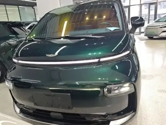 Geely Galaxy LEVC L380 2025 (25400 км)