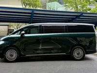 Geely Galaxy LEVC L380 2025 (25400 км)