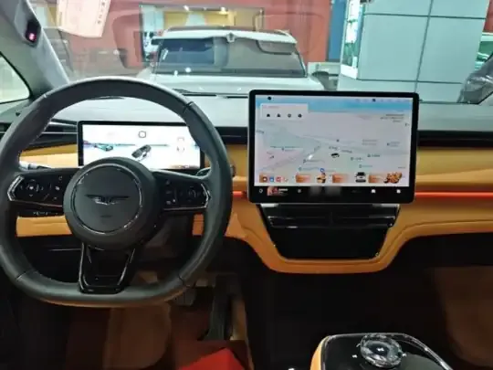 Geely Galaxy LEVC L380 2025 (25400 км)