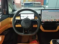 Geely Galaxy LEVC L380 2025 (25400 км)