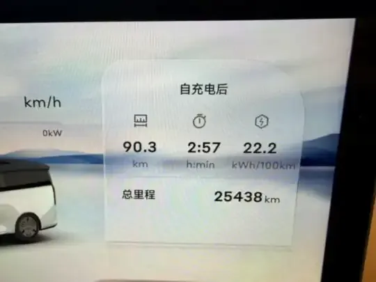Geely Galaxy LEVC L380 2025 (25400 км)