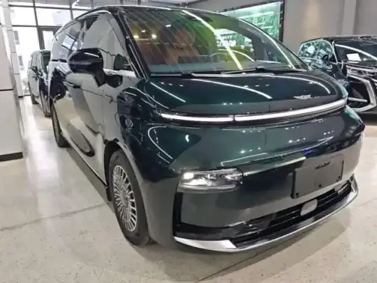 Geely Galaxy LEVC L380 2025 (25400 км)