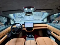 Geely Galaxy LEVC L380 2025 (25400 км)