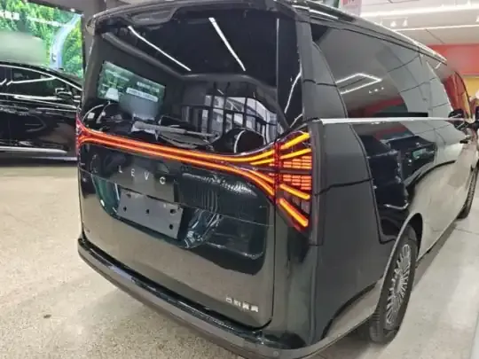 Geely Galaxy LEVC L380 2025 (25400 км)