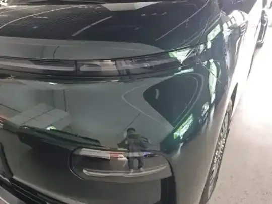 Geely Galaxy LEVC L380 2025 (25400 км)