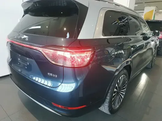 Hima AITO M9 2025 (13700 км)