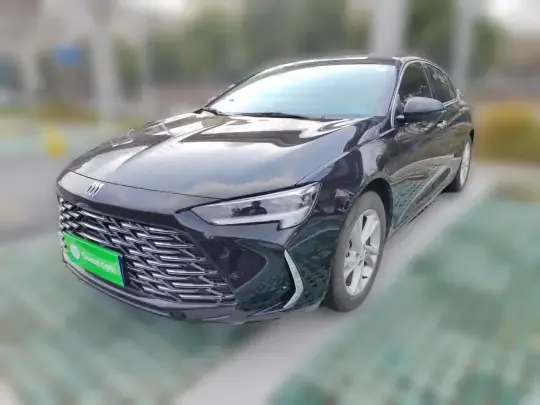 Buick Regal 2024 (8800 км)