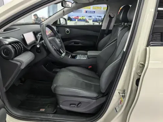 BYD Yuan PLUS 2025 (6100 км)