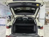 BYD Yuan PLUS 2025 (6100 км)