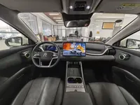 BYD Yuan PLUS 2025 (6100 км)